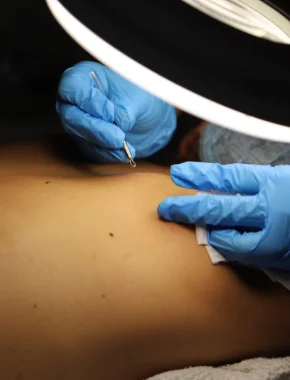 programa esteticista medica st petes